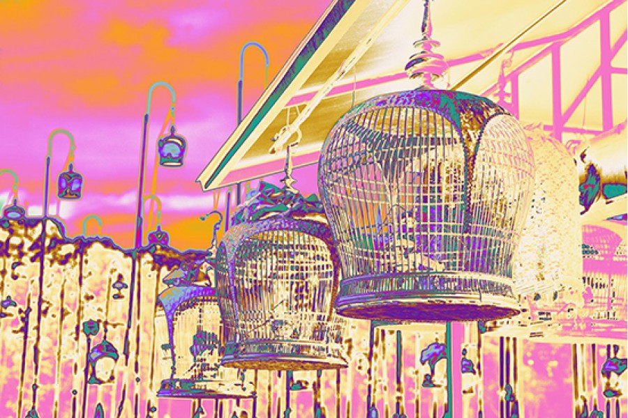 Birdcages of Singapore (Pink)
