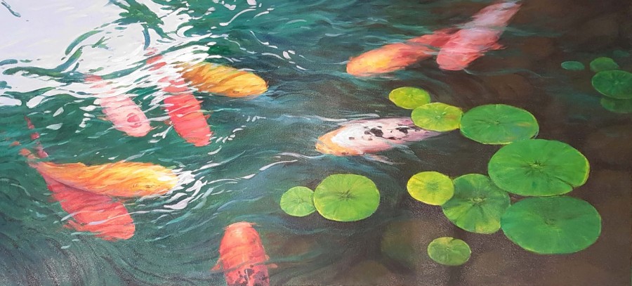 Koi Fishes in a Pond