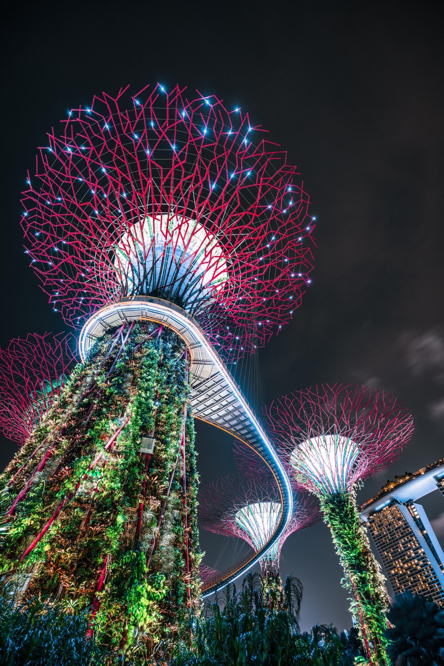 Gardens By The Bay 10